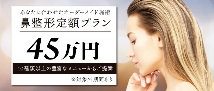 鼻定額