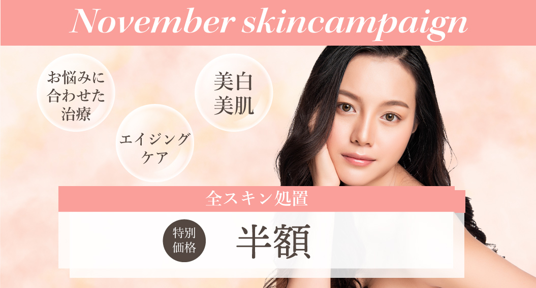 11月名古屋スキン